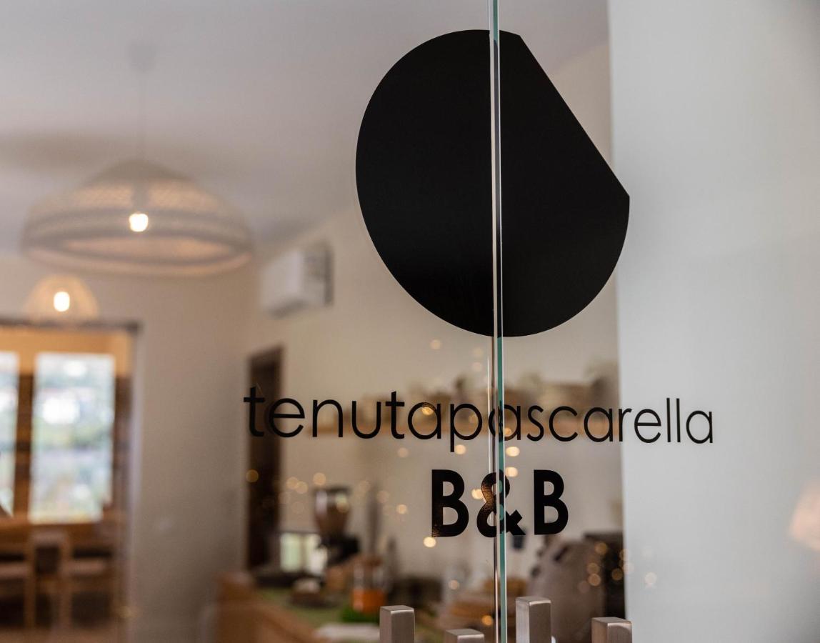 Frasso Telesino Tenuta Pascarella Bed & Breakfast المظهر الخارجي الصورة