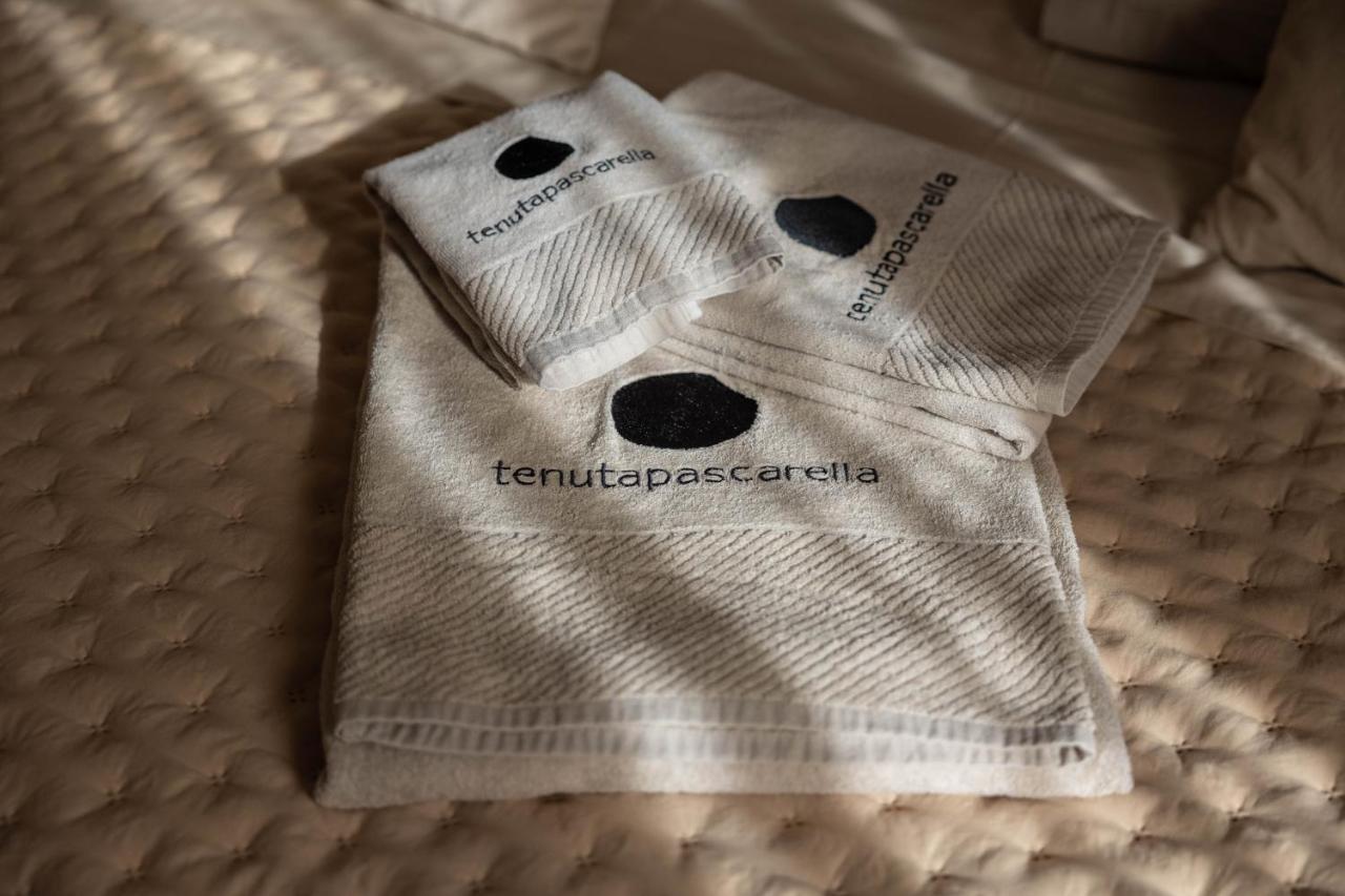 Frasso Telesino Tenuta Pascarella Bed & Breakfast المظهر الخارجي الصورة