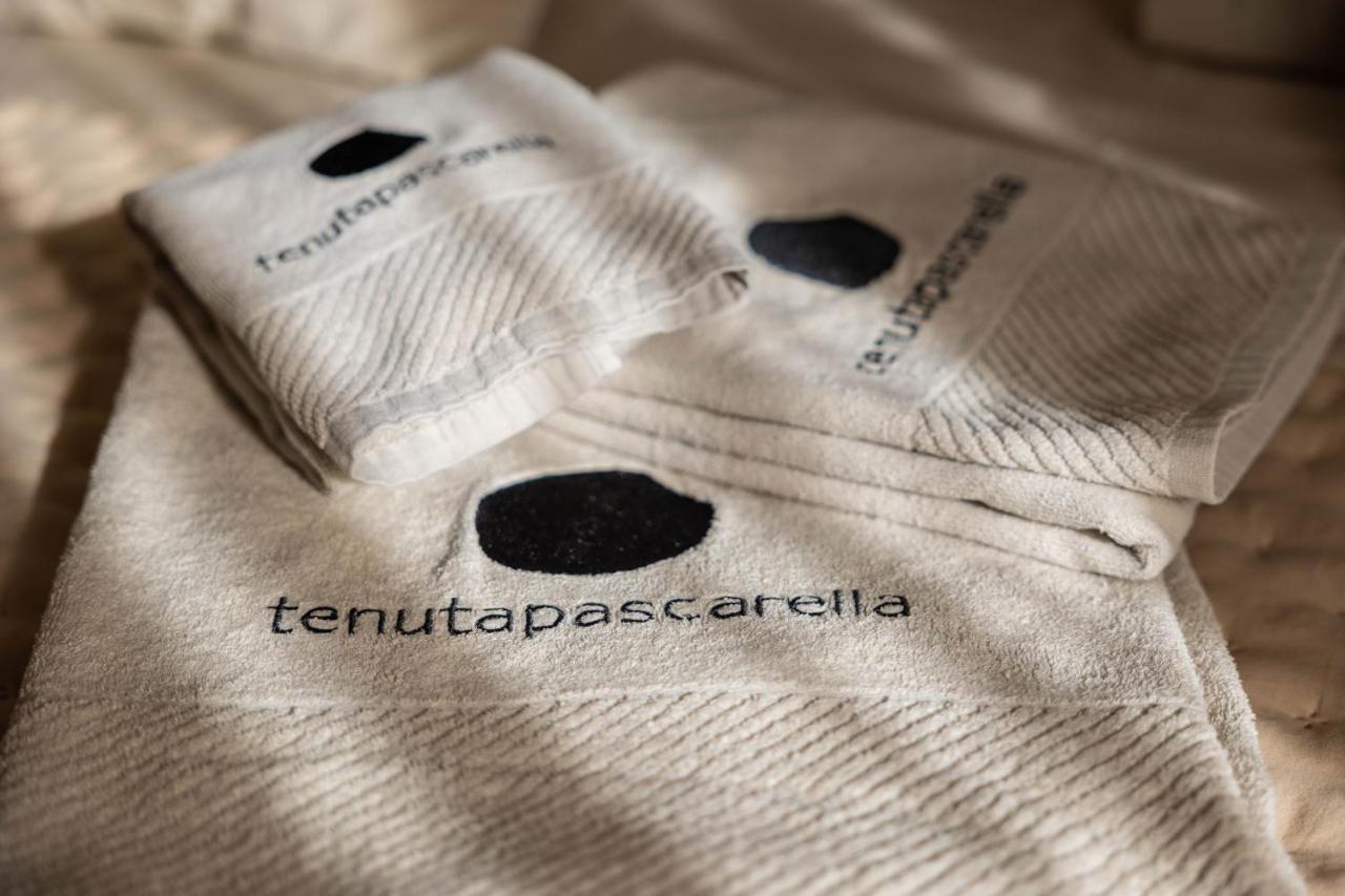 Frasso Telesino Tenuta Pascarella Bed & Breakfast المظهر الخارجي الصورة
